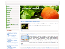 Tablet Screenshot of laboratoriosabd.com